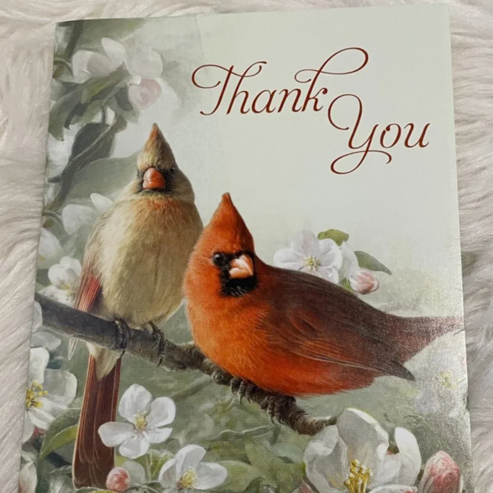 6 Assorted Greeting Cards Animals & Flowers matching print envelopes